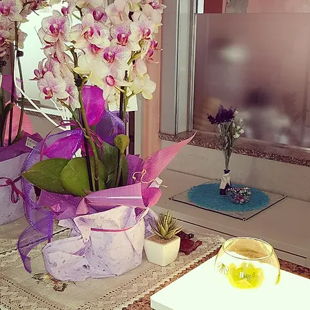 Ξενοδοχείο Alba