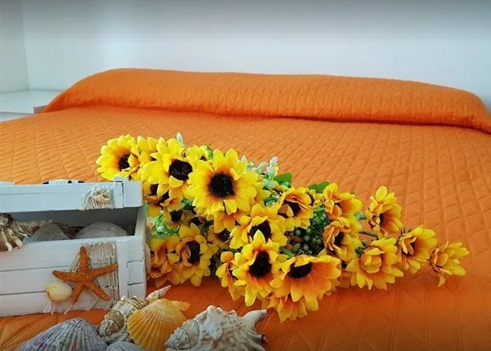 Alba Отель